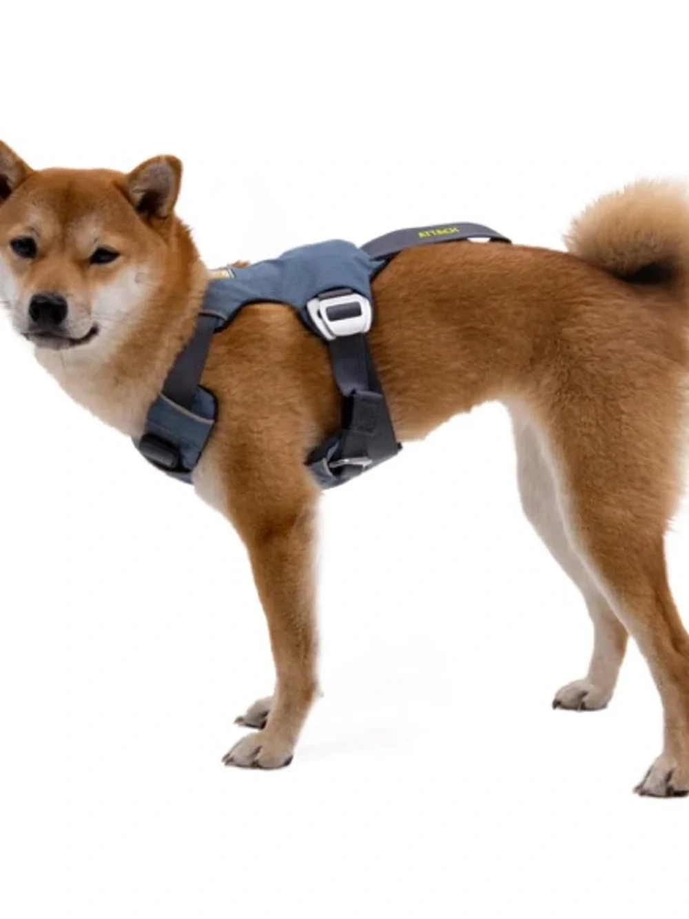 Ruffwear Load Up™ Dog Car Harness